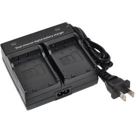 BTBAI NP-BX1 Battery Charger AC Wall Dual for NPBX1 ZV1 ZV-1 DSC-RX100 M2 M3 DSC-RX1B DSC-RX1R DSC-WX300 DSC-WX500 III DSC-HX50 DSC-RX1 M3 HDR-AS15 HDR-AS15B HDR-AS15S HDR-GW66 HDR-GWP88 HD-MV1 s1a