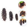 KICHOUSE 3pcs Lifelike Artificial Sea Cucumber Models Display Props Fun