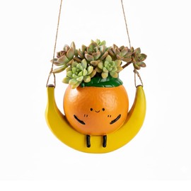 Kairova Cute Swing Hanging Planters for Indoor Plants Orange & Banana Shaped Small Plant Hanger for Succulent String of Pearls Decorative Resin Hanging Planters for Outdoor Plants with Drainage Hole