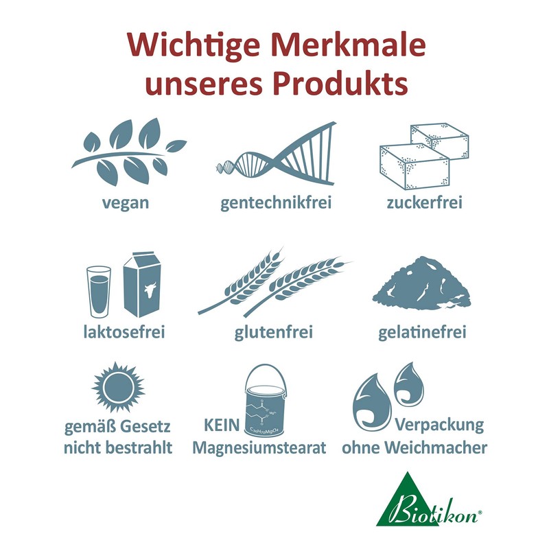Gehirn & Geistige Leistung - BRAIN PLUS - B-Vitamine bioaktiv