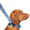 CUTIE TIES Dog Leash Donuts– Durable Nylon Material - Premium