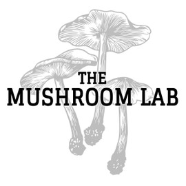 Mushroom Liquid Culture - Chestnut (Pholiota adiposa)
