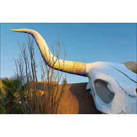 Bob Estrin Handmade Giant Bull Cow Skull Roadside Attraction Wall Art Décor Photograph