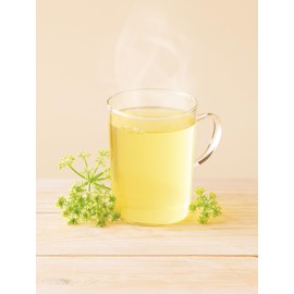 Lebensbaum Organic Fennel - 20 Bags x 2.5g Organic Fennel Tea Mild 100% Organic Herbal Tea