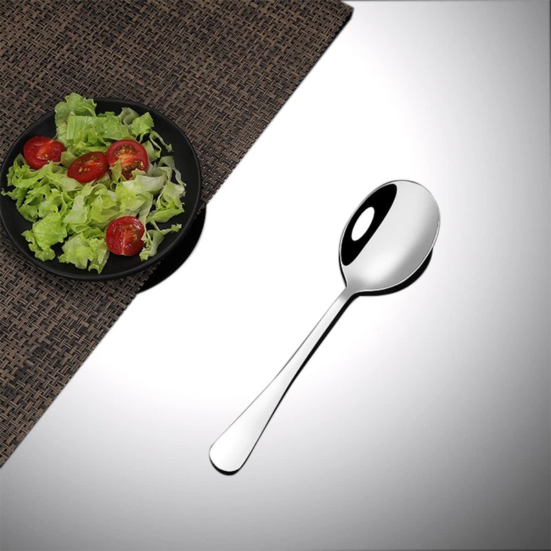 Dining Spoons Set of 12 Stainless Steel Cutlery Set for
