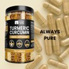 PURE ORIGINAL INGREDIENTS Pure Original Ingredients Turmeric Curcumin 730 Capsules