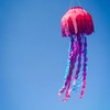 In the Breeze 5232 — Jellyfish Big Breeze Windsock™ —