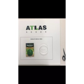 ATLAS Watermelon -Stripped Sweetie