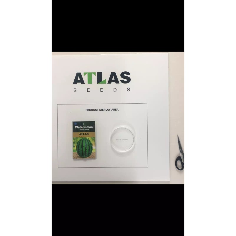 ATLAS Watermelon -Stripped Sweetie