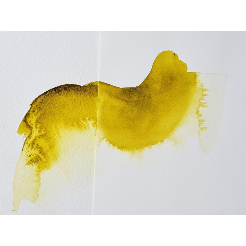 Winsor & Newton Additivo Acquerello 75ML Liquido Bile di Bue