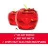 Fruit Fly Traps for Indoors by Raid | 2 Lures