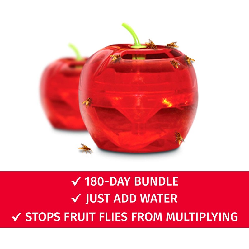 Fruit Fly Traps for Indoors by Raid | 2 Lures