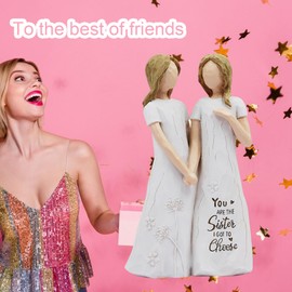 Friendship Gifts for Women Sculpted Hand-Painted Sister Birthday Gifts-You are The Sister I Got to Choose-Waterproof Resin Funny Gifts for Friends Sister Birthday Gifts You are The Sister i got to ch