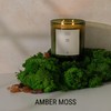Craft and Kin Candle | 12 oz, Amber Moss Scented