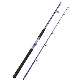 Fiblink 2-Piece Saltwater Spinning Fishing Rod Offshore Graphite Portable Fishing Rod (7-Feet) (6' Heavy)