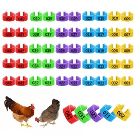 Pack of 50 Poultry Foot Rings, Poultry Band, Chicken Leg Rings, 5 Colours, 16 mm, Chicken Identification Legs Rings, Plastic Poultry Leg Rings for Chickens, Ducks, Chickens, Small Animals