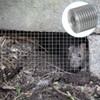 Wire mesh, rodent wire mesh, 10 cm x 6 m,