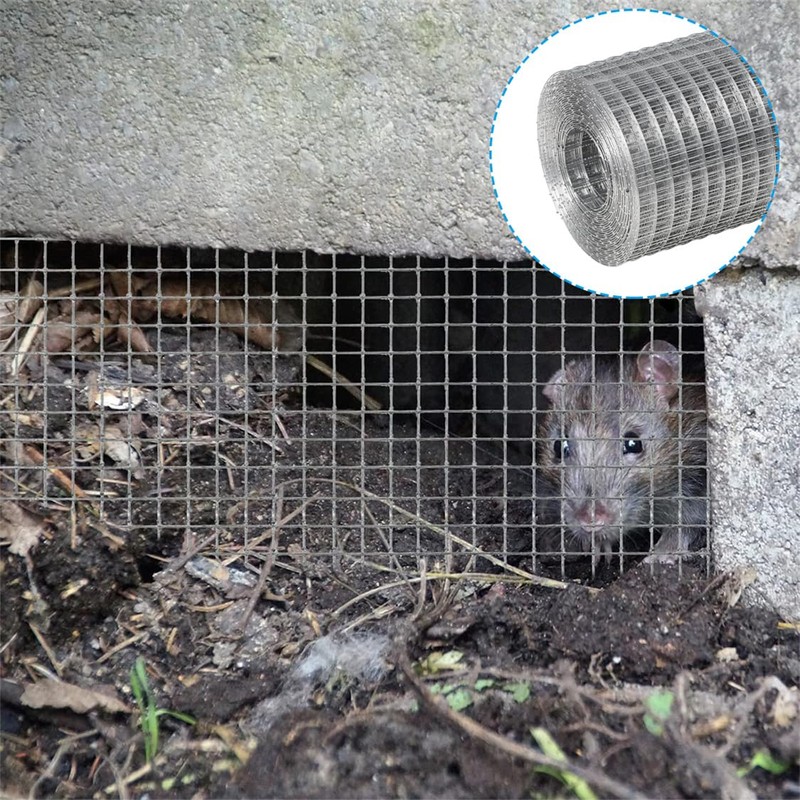 Wire mesh, rodent wire mesh, 10 cm x 6 m,
