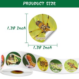 600 Pieces Insect Stickers for Kids, Spring Bugs Party Theme Label Stickers Decals Early Education Teaching Supplies for Classroom Home Rewards Party Favor, 1.38 Inches