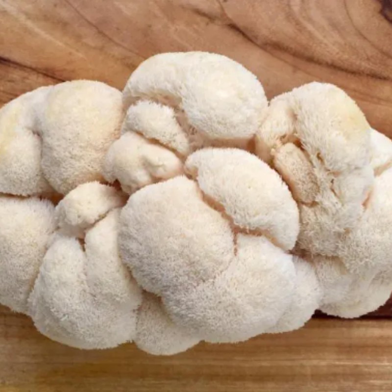 Freshly Fermented - Organic Mushroom Coffee Instant - Lions Mane