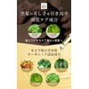【オーガニック認証】biseno ヘアミルク ヘアオイル セット 洗い流さないトリートメント 80ml アウトバス レディース メンズ 植物アロマの香り