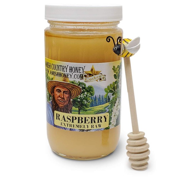 Goshen Honey Amish Extremely Raw RASPBERRY Blossom Honey 100% Natural Honey Health Benefits Unfiltered OU Kosher Certified | Glass Jar 1 Lb