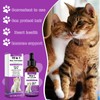 Vitamine Tropfen für Katzen, Nutrients for Cats, Unterstützung für Stoffwechsel