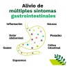 Iberogast Solución Oral Medicina Herbolaria Para Colitis Y Gastritis Gotero