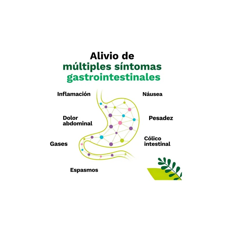 Iberogast Solución Oral Medicina Herbolaria Para Colitis Y Gastritis Gotero