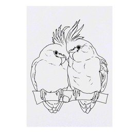 'Cockatiel Pair' Temporary Tattoo - Water Resistant, Skin-Safe, Non-Toxic Transfer (TO00085009)