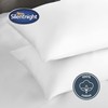 Silentnight Cotton Rich Pillowcase, White, Pack of 2, 74 x