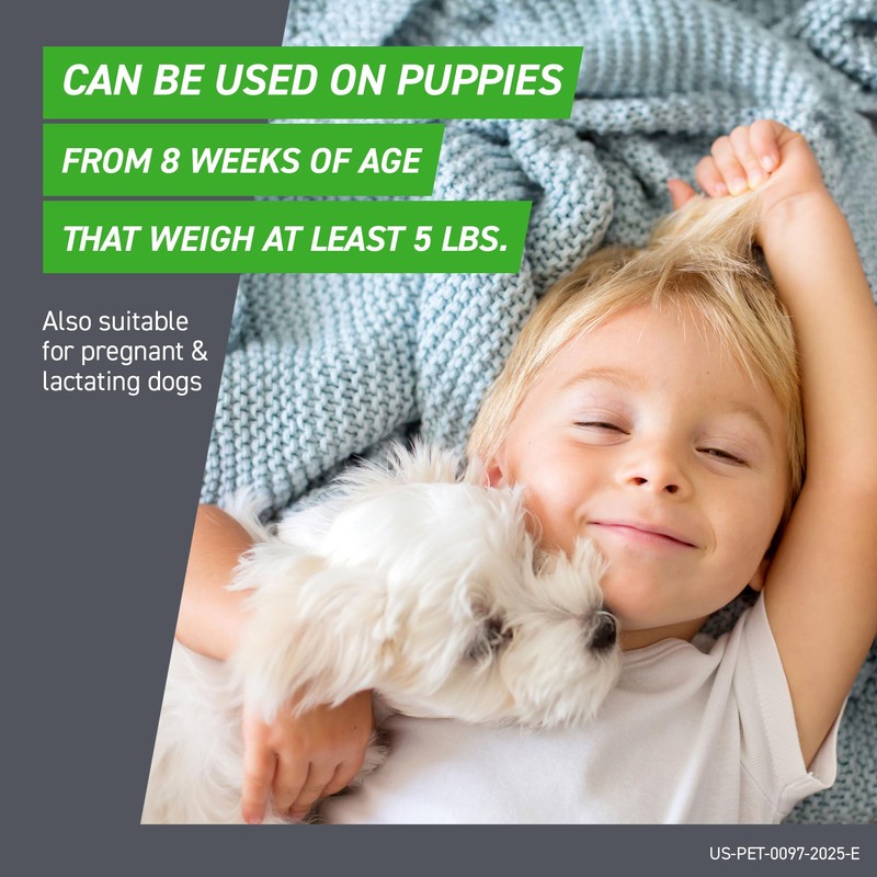 FRONTLINE Plus Flea and Tick Treatment for Medium Dogs Up