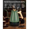 Harriet Gooseneck Electric Kettle - 1200W Fast Heat, 0.8L Stainless