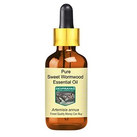 Devprayag Pure Sweet Wormwood Essential Oil (Artemisia annua) with Glass Dropper Natural Therapeutic Grade Steam Distilled 10ml (0.33 oz)