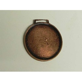 GTK - Geweihe & Trophäen KRUMHOLZ Roebuck Medal in Bronze