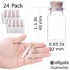 allgala 24-PK 4ml 22x40mm Glass Bottle Vial Mini Mason Jar