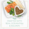 Fancy Feast Gourmet - Oceanfish & Salmon Formula - 3
