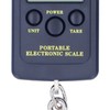 Portable Electronic Scale, Hook Scale Portable Electronic Mini Square Scale