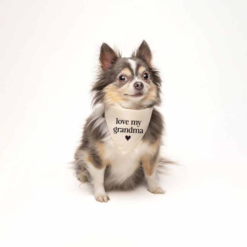 Love My Grandma Dog Bandana | 100% Cotton Adjustable Triangle