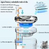 JIJO Bebedero para Gato, 304 Acero Inoxidable Fuente para Gato,