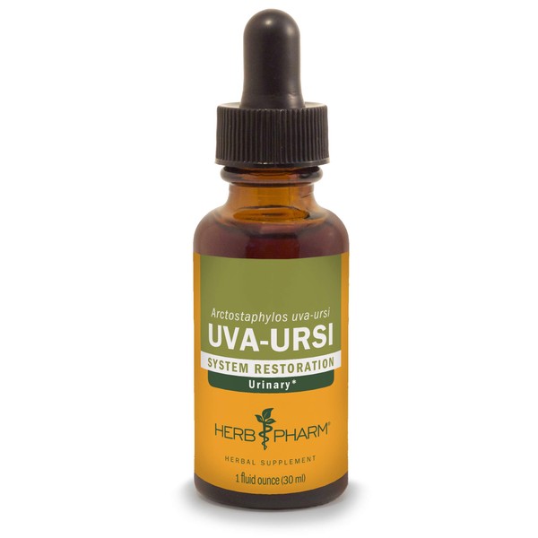 Herb Pharm Uva Ursi Liquid ExtraCount for Urinary System Support, 1 Fl Oz