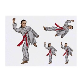 4 x 'Karate Kick Girl' Temporary Tattoos - Water Resistant, Skin-Safe, Non-Toxic Transfers, Mixed Sizes (TO00043915)