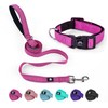 NESTROAD Reflective Dog Collar and Leash Set,Soft Neoprene Pet Collar