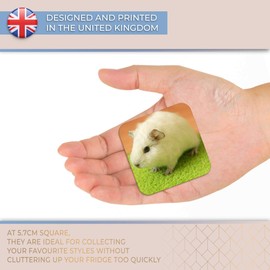 Destination Vinyl ltd Fridge Magnet - Cute White Guinea Pig Pet for Office, Cabinet and Whiteboard, Magnetic Stickers, 44816