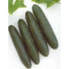 Cucumber Slicemaster Select Vegetable Seeds
