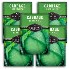 Survival Garden Seeds - Brunswick Cabbage Seed for Planting - 5 Packs with Instructions to Plant and Grow Flat Green Cabbages in Your Home Vegetable Garden - Non-GMO Heirloom Variety