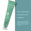 Bolden Brightening Face Moisturizer with SPF 30 & Vitamin C