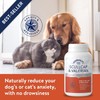 DORWEST HERBS Scullcap & Valerian Calming Tablets for Dogs and