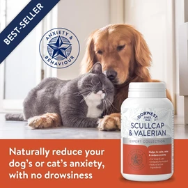 DORWEST HERBS Scullcap & Valerian Calming Tablets for Dogs and Cats, 500 Tablets, Natural Dog Calming Supplements for Stress and Anxiety Relief – Sugar-Free, Non-Drowsy, Light Yellow Tablet, 14DOR018