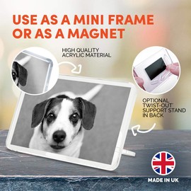 1 x Fridge Magnet - Jack Russell Terrier Puppy Dog Pet #37208